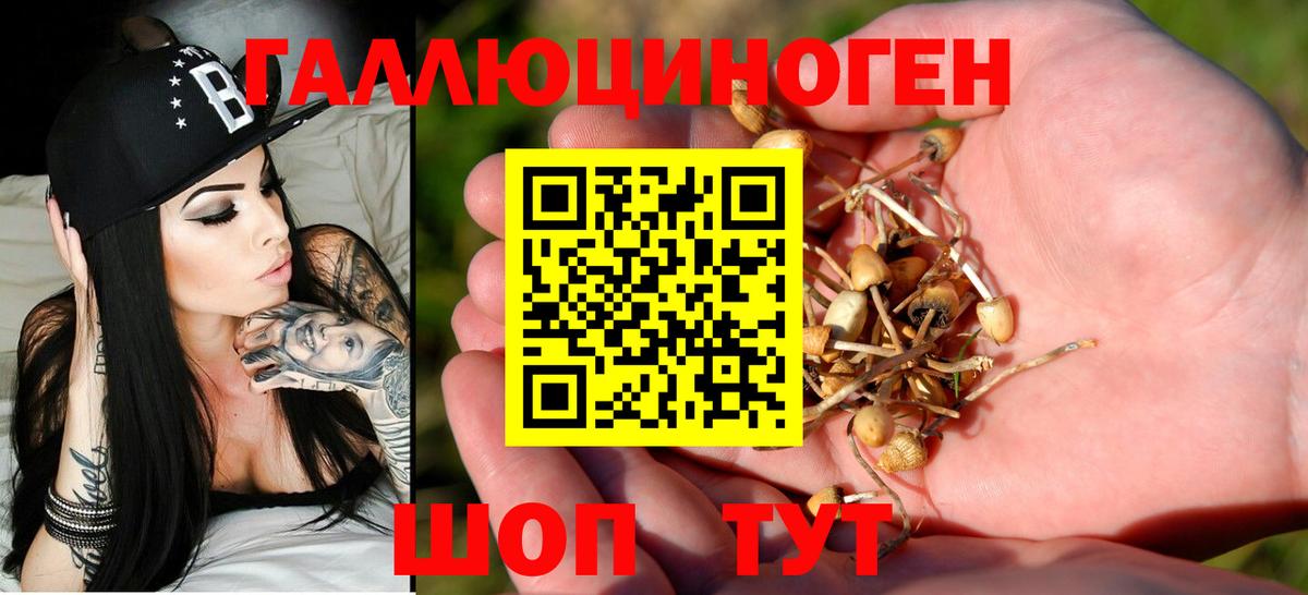 Псилоцибиновые грибы мицелий  Псилоцибиновые грибы ЛСД  Владимир  Вход с VPN 