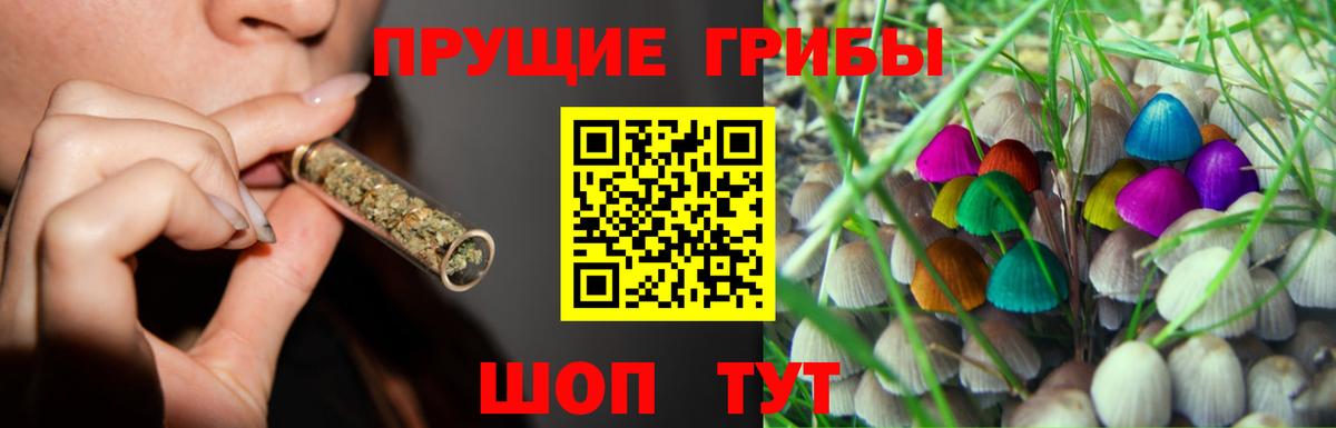 Псилоцибиновые грибы прущие грибы Владимир