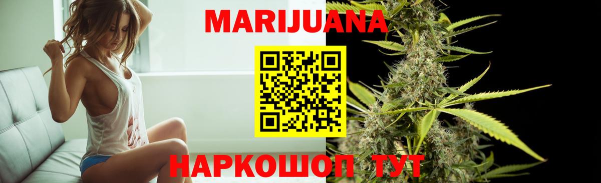 Каннабис White Widow Владимир